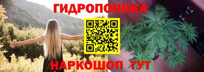 apvp Апшеронск