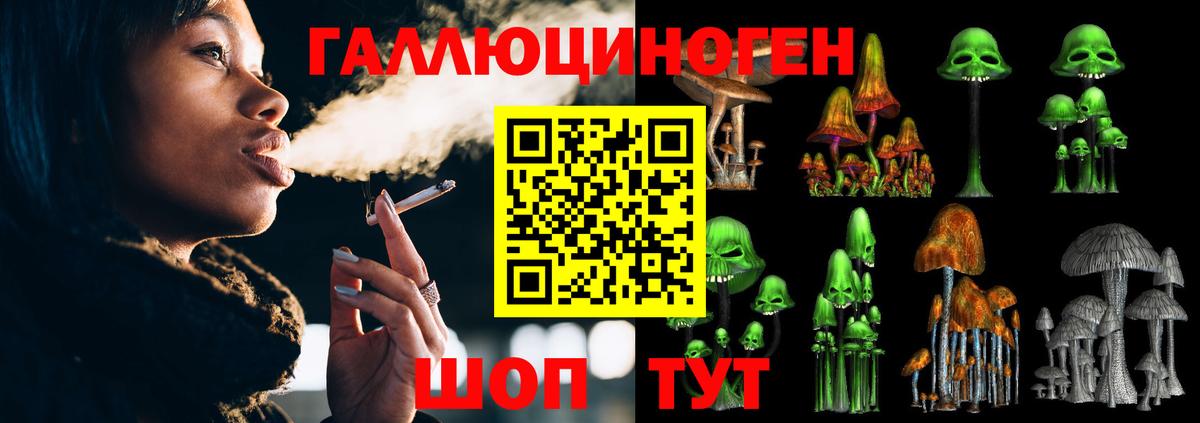 Галлюциногенные грибы Psilocybe Вятские Поляны