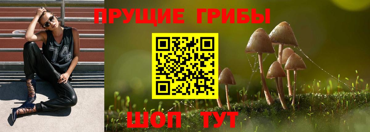 Галлюциногенные грибы прущие грибы  Вход с VPN  Вятские Поляны 